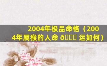 2004年极品命格（2004年属猴的人命 🍀 运如何）